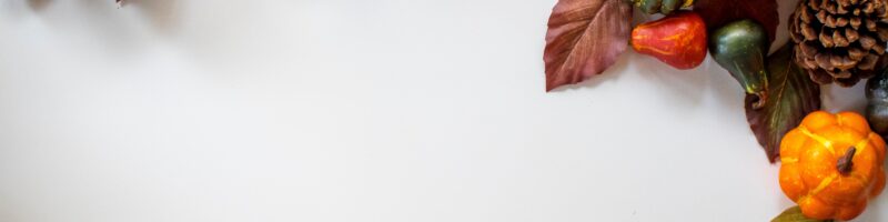 brown and green leaves on white surface