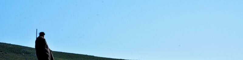 a person standing in a field with a coat on