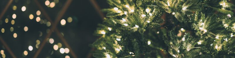 green Christmas tree with string lights