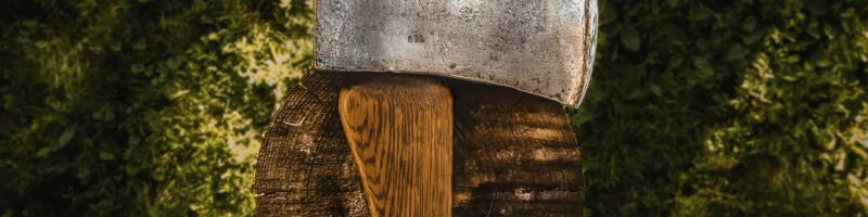brown axe on brown wood log during daytime