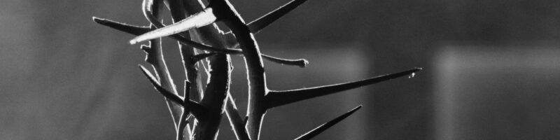 a black and white photo of a crown of thorns