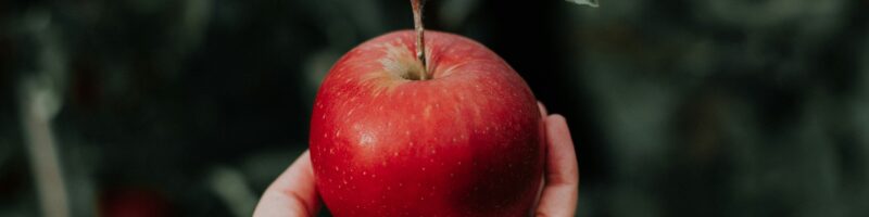 one red apple