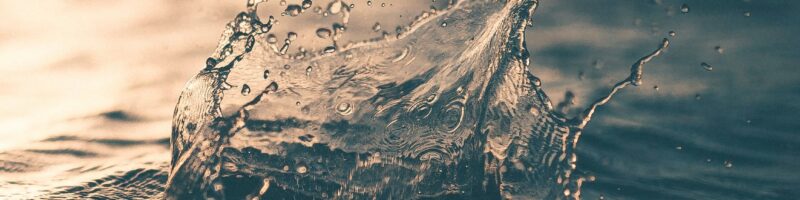 selective focus photography of water splash